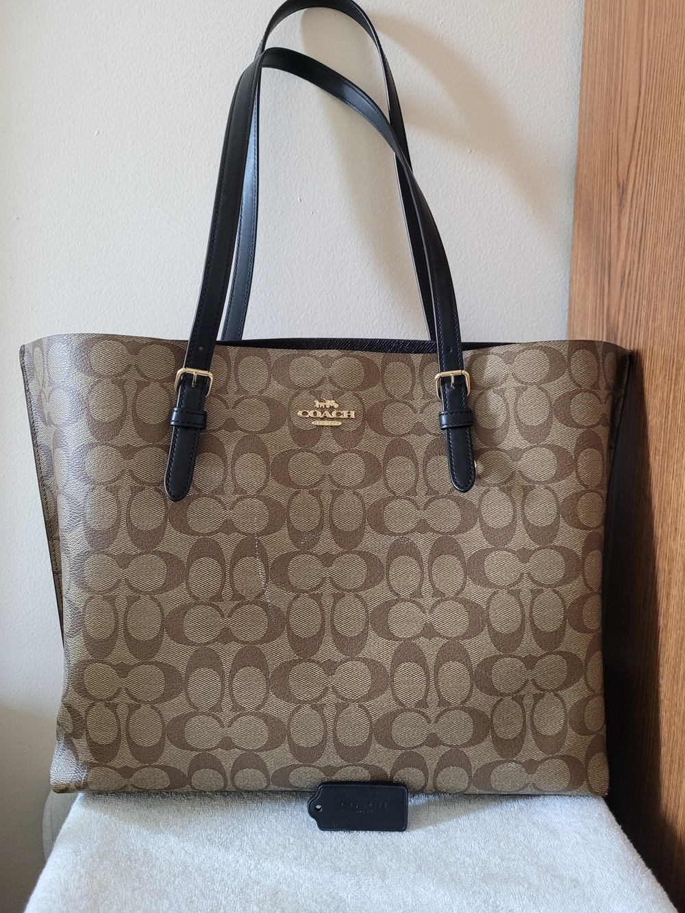 Coach Mollie Tote Bag in Signature Canvas